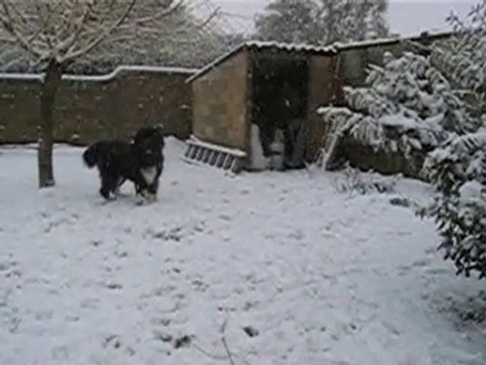 28.11.2010 002