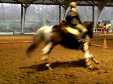 Rocky et moi au galop, en jeux