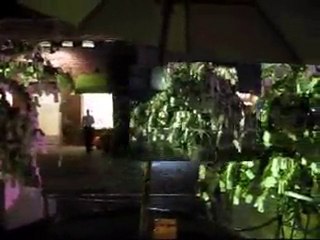 Yoko Ono - Wish Tree - 2009