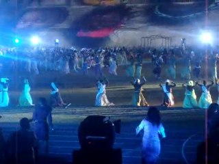 Festival Mondial des Arts Nègres(FESMAN):à l'intérieur