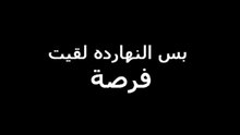 My Career Opportunity...فرصتى