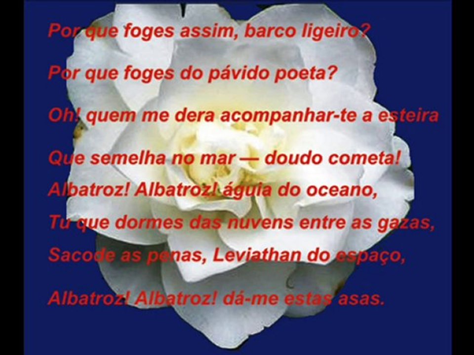 Rap do Pelô - Pelourinho