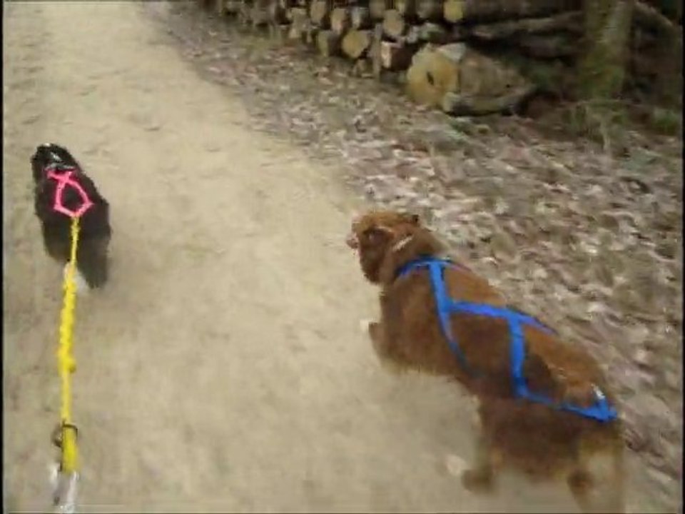 Cracra traction