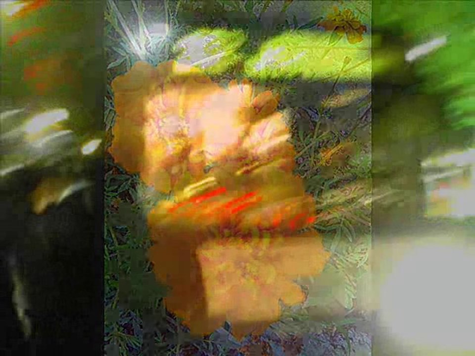 Yusuf TER-Zaman