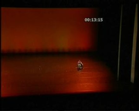 concours de lyon julie médaille d or