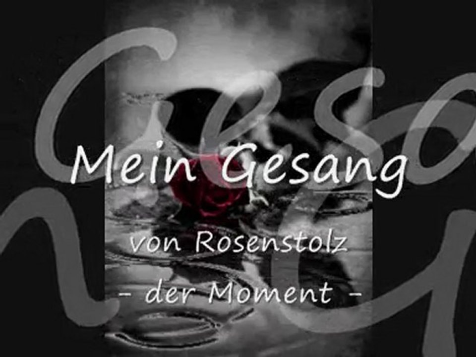 Rosenstolz - Der Moment (Cover/Karaoke)