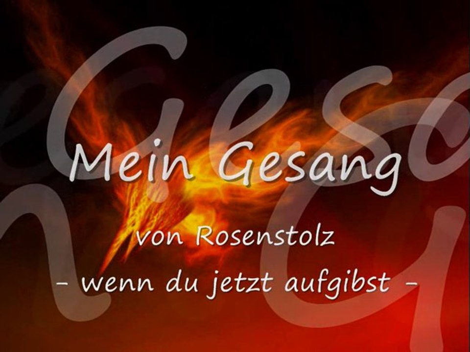 Rosenstolz - wenn du jetzt aufgibst (Cover/Karaoke)