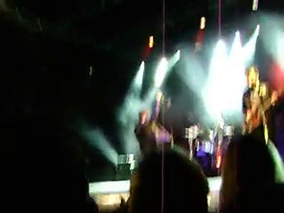 David Hallyday Lyon 11.12.2010