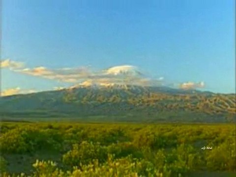 BİR MİLLET UYANIYOR-ALİ KINIK