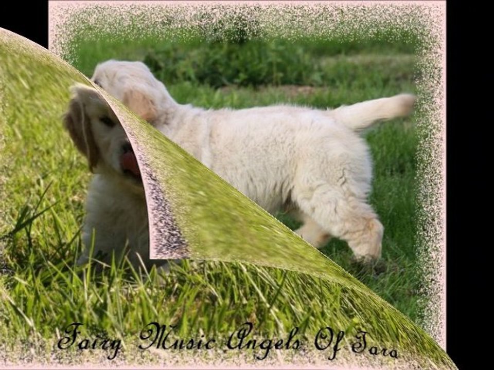 Vidéo Portée Blue et Cocktail