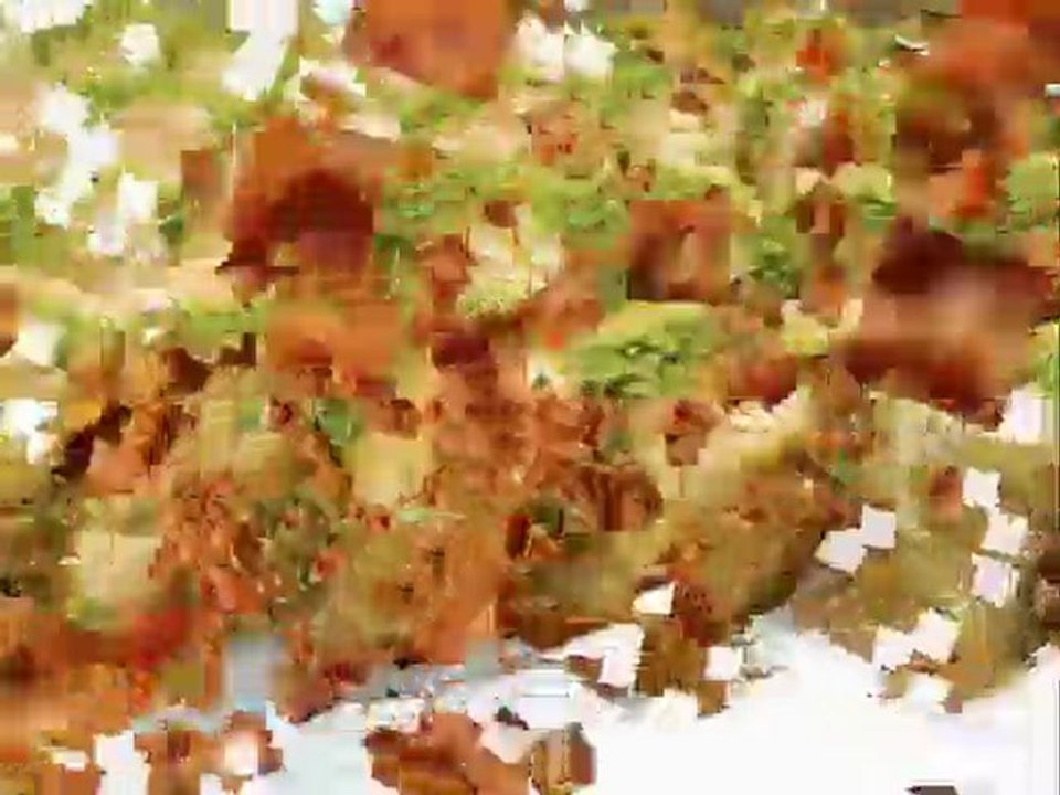 AR KEBAP 2242211-12 VİŞNELİK