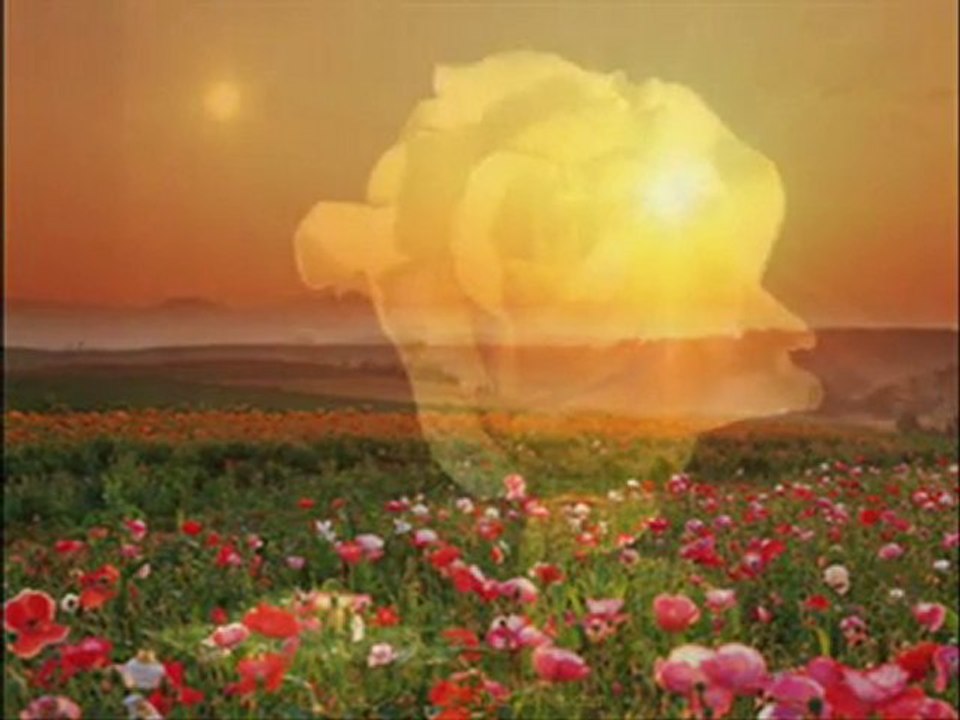 Zeki müren-seni andıkça