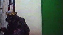 MAHJOUB5