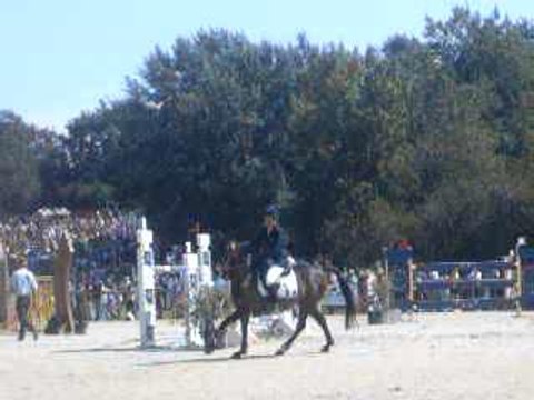 championnat d'europe 2006 iago