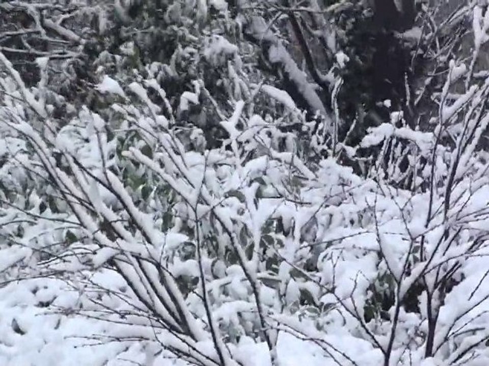 SNOW