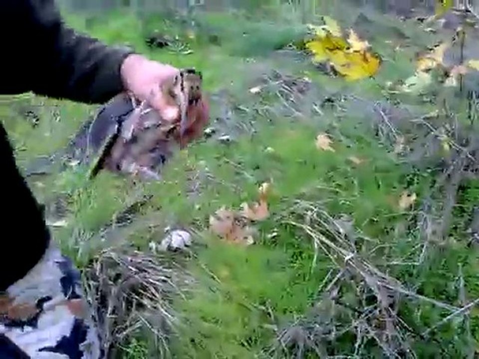 tank vom hasenpfad bodo vom rosenvehn culluk aport turgayttt