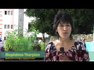 Un "service citoyen" à Genève: les volontaires