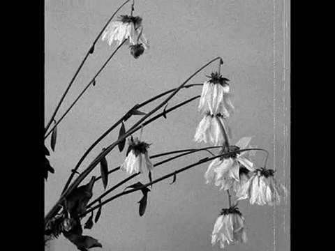 Selma Hünel - böyle bir kara sevda kara toprakla biter