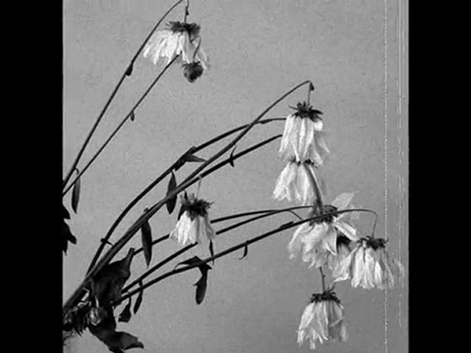 Selma Hünel - böyle bir  kara sevda kara toprakla biter