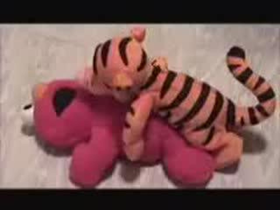 Tigrou le cochon