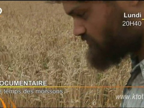 Le temps des moissons