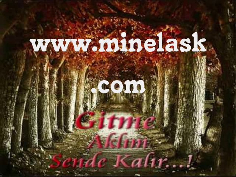 Ah Su Eller /  WWW.MINELASK.COM SESLICHAT