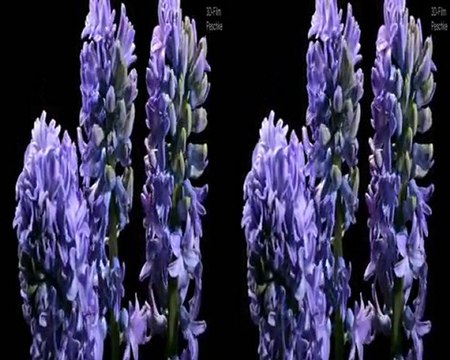 3D Demo - Anaglyph 3D Gözlükle - Yeşil Kırmızı Gözlük