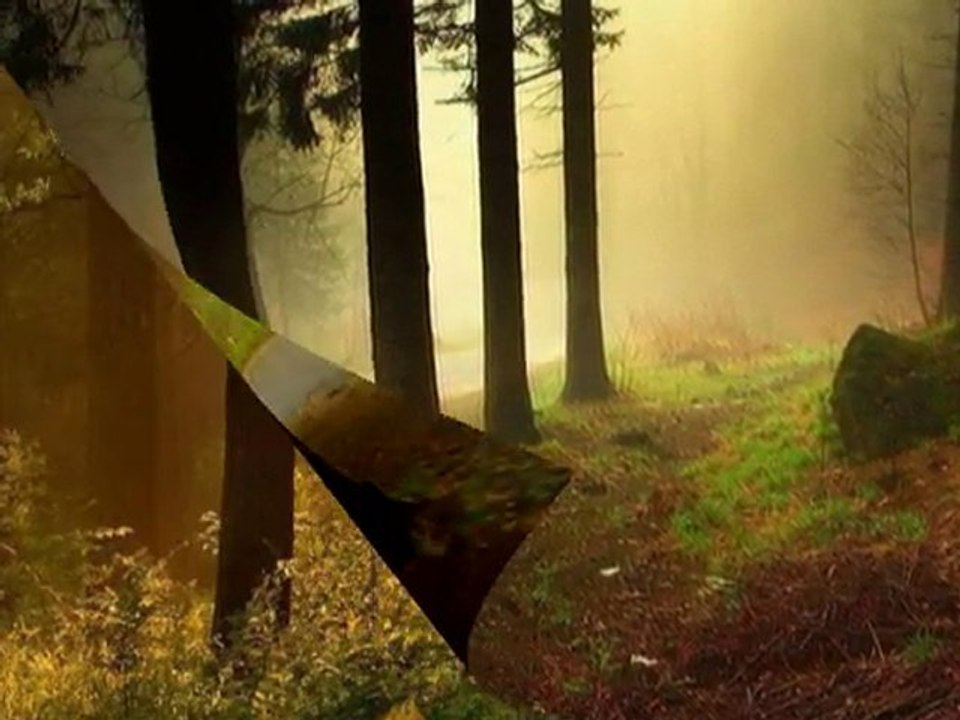 Enbe Orkestrası Müslüm Gürses - Kalbim