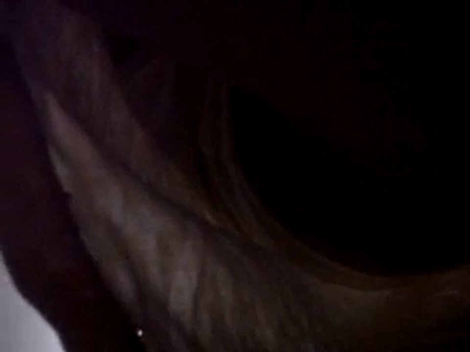 UPSKIRT1