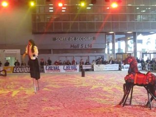 10.12.2010.salon du cheval 2010