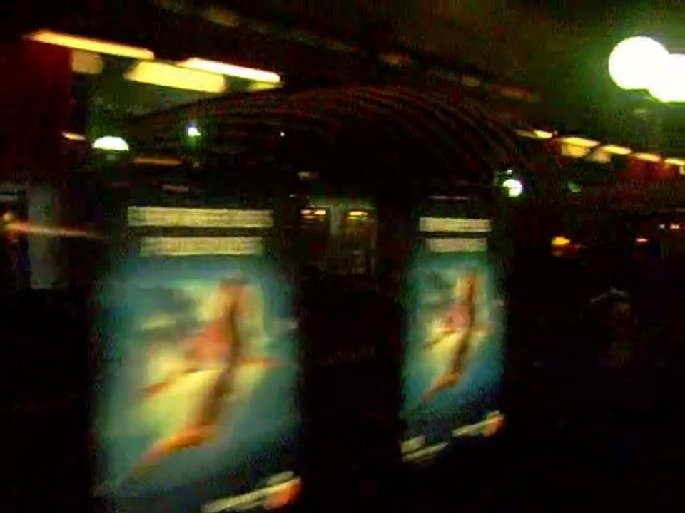 Pau gare 23 11 2010