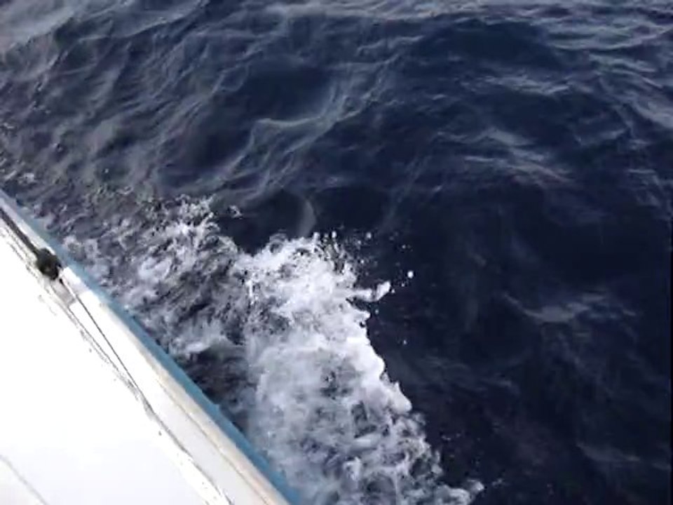 Ambiance navigation entre le Frioul et Cassis (3)
