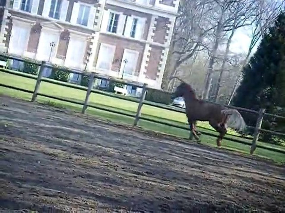 NOUKA AU PADDOCK