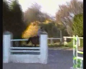 christelle et l'ascar CSO entrainement - 12 décembre 2010