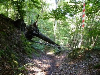 Diaporama de l'année 2010 - 36ème partie