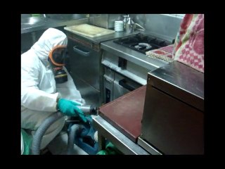 Eliminar Cucarachas (KADEM) 2/3