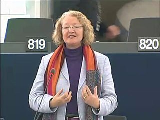 Gesine Meissner on Single application procedure for residenc