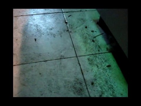 Eliminar Cucarachas (KADEM) 3/3