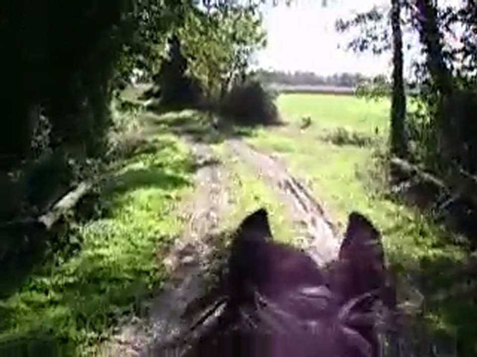 Ptit galop avec Dauphin (02) - 08/10/2010