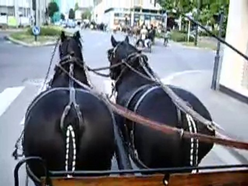 2010-09-18 - Défilé dans Rennes - 02