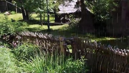 Zimowa miłość-Bayer Full