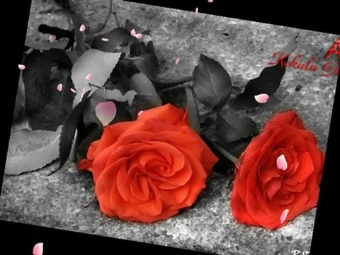 SeRDaR ORTaÇ KeRBeLA (ßy.KaNKa®)