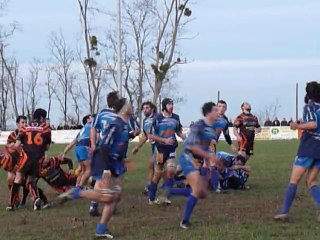 P1240607 HABAS - MONFORT EN CHALOSSE ...Quelle vitalité !