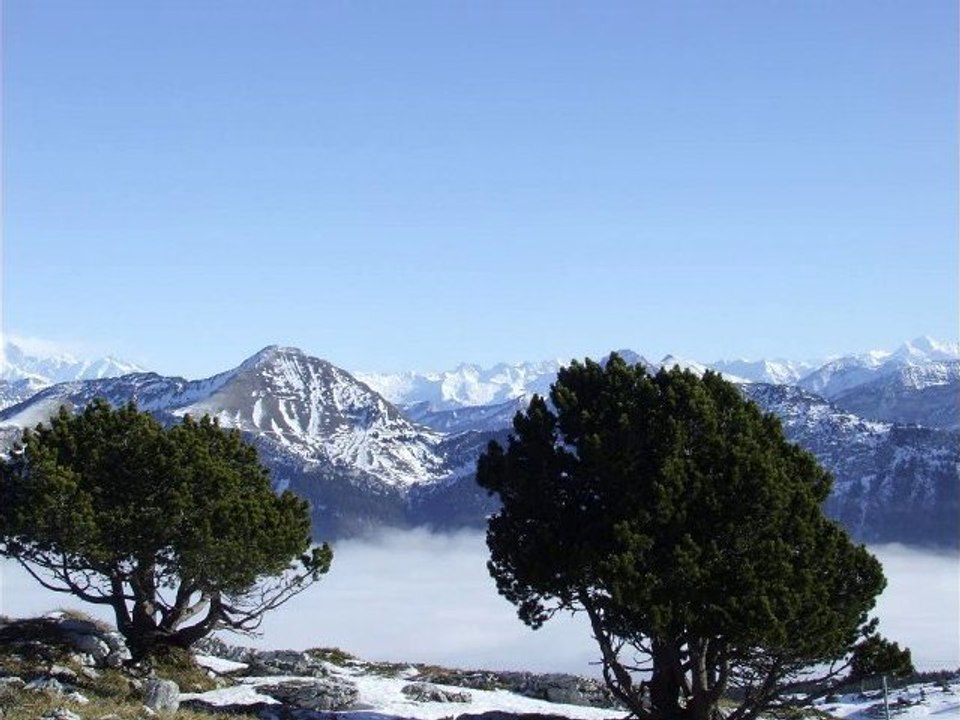 vue depuis le margieraz
