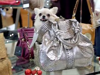 A Harvey Nichols Christmas - The fashionista's accessory