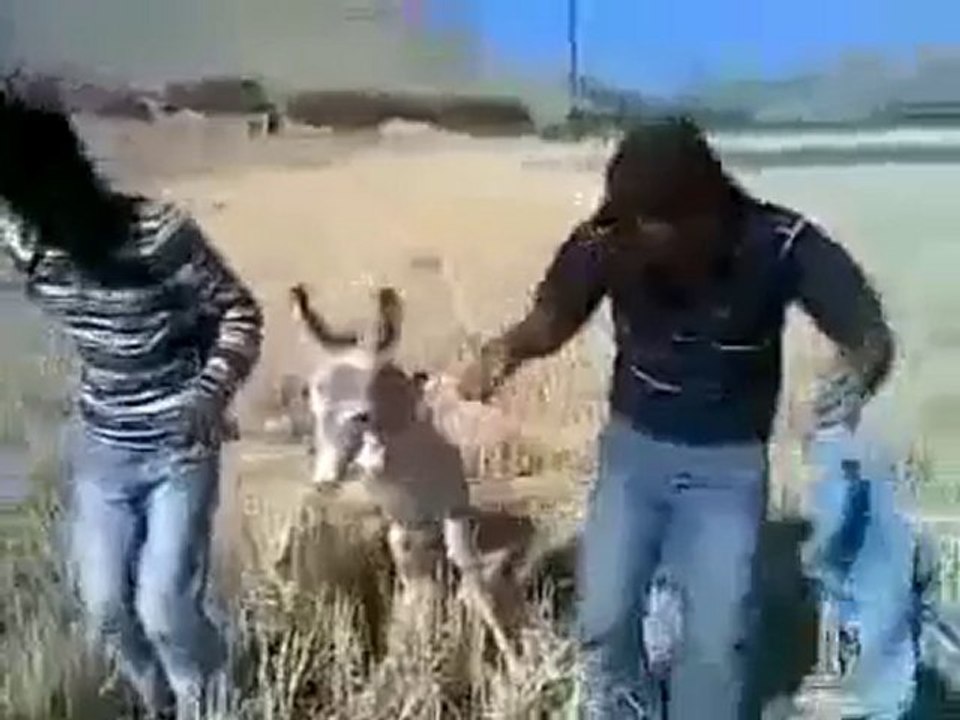 3 eşşek --İNTERNETTE REKOR KIRDI