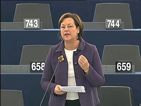 Nathalie Griesbeck on European Protection Order