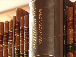 Vargas Llosa qualifie son Nobel d'"intense" mais "passager"