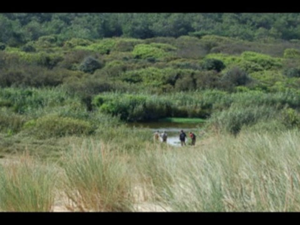 Promenades en forest 2009