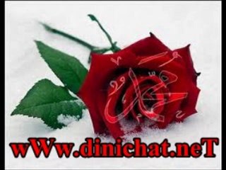 Güclü Soydemir - Muhammedin GözLeri